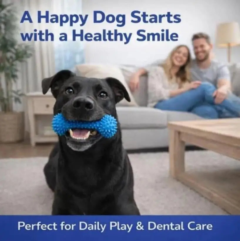 Dog Toothbrushing Toy Suction Cup Pull Rope Dental Chew Stick Rubber Teeth Cleaning Toy interactive Snack Dispensing Ball