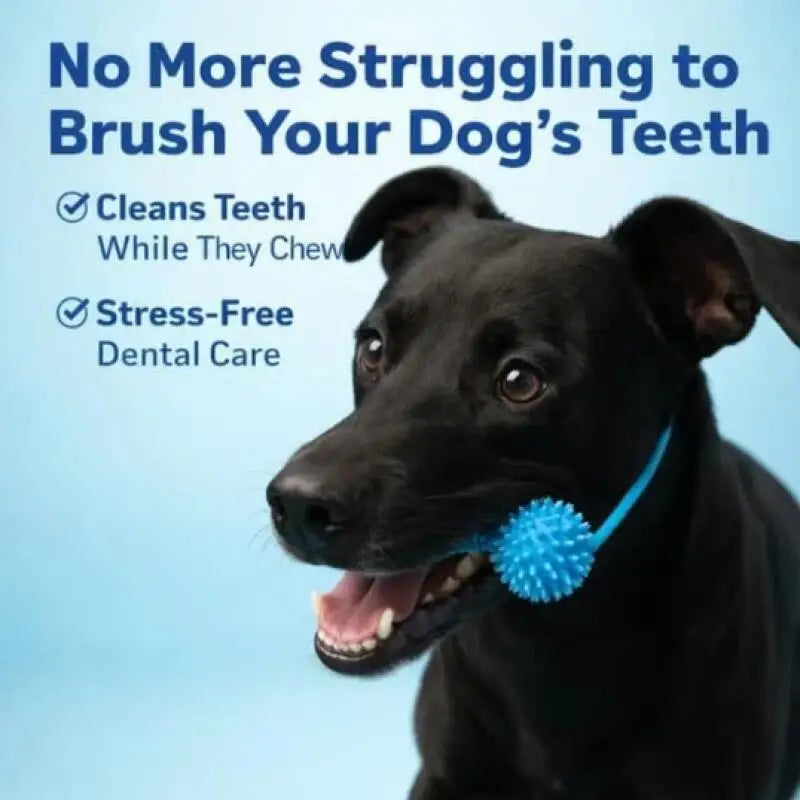 Dog Toothbrushing Toy Suction Cup Pull Rope Dental Chew Stick Rubber Teeth Cleaning Toy interactive Snack Dispensing Ball