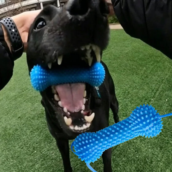 Dog Toothbrushing Toy Suction Cup Pull Rope Dental Chew Stick Rubber Teeth Cleaning Toy interactive Snack Dispensing Ball