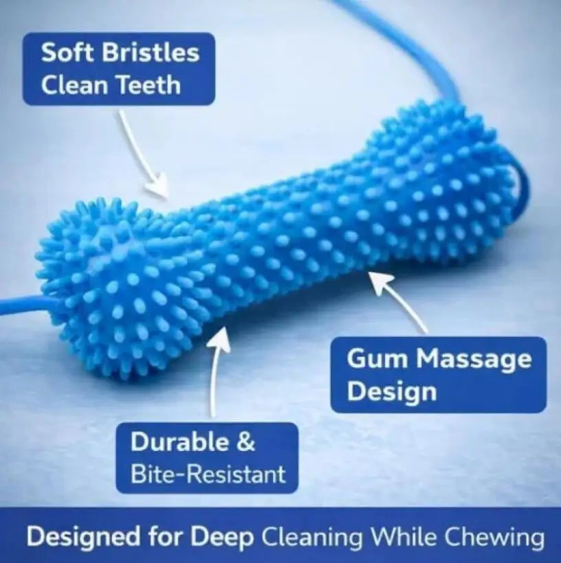 Dog Toothbrushing Toy Suction Cup Pull Rope Dental Chew Stick Rubber Teeth Cleaning Toy interactive Snack Dispensing Ball