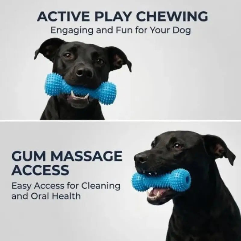 Dog Toothbrushing Toy Suction Cup Pull Rope Dental Chew Stick Rubber Teeth Cleaning Toy interactive Snack Dispensing Ball