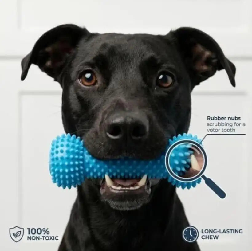 Dog Toothbrushing Toy Suction Cup Pull Rope Dental Chew Stick Rubber Teeth Cleaning Toy interactive Snack Dispensing Ball
