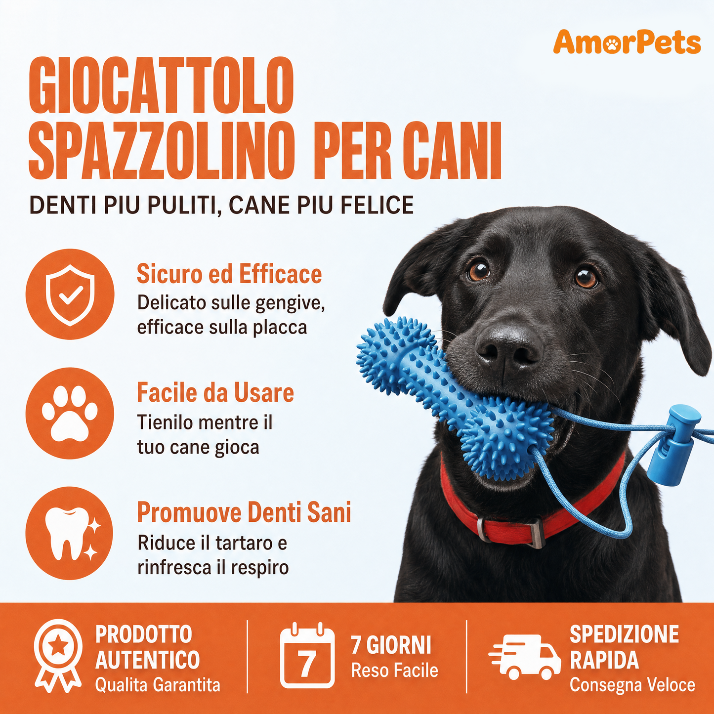 Osso Divaricatore Pulizia Dentale