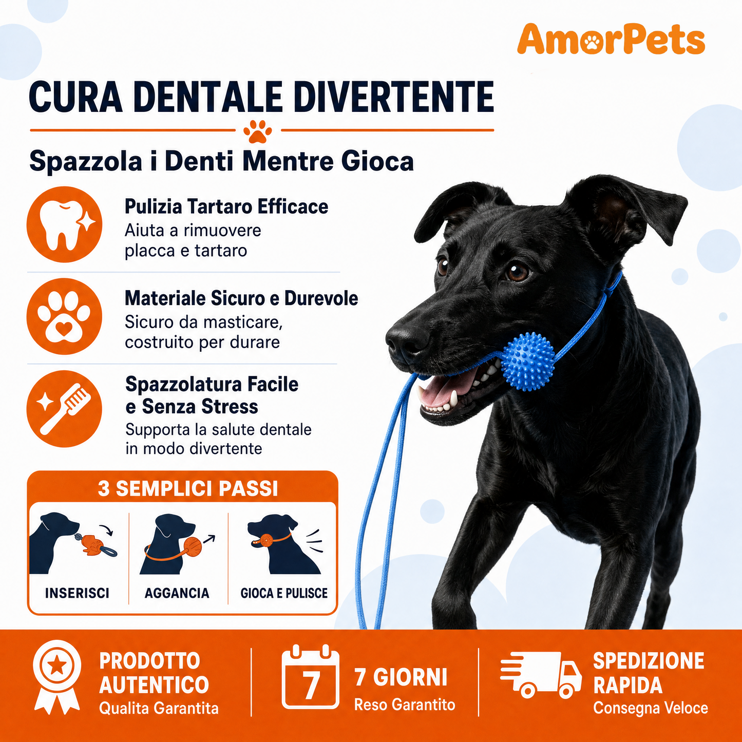 Osso Divaricatore Pulizia Dentale